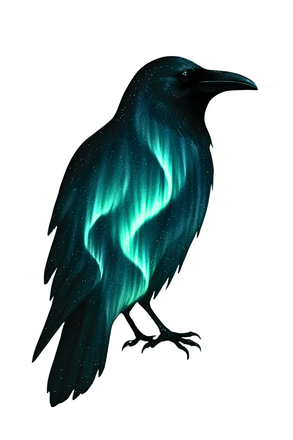 Aurora Borealis on 11 ounce coffee mug